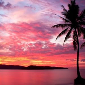 Meet your Posher, Esther